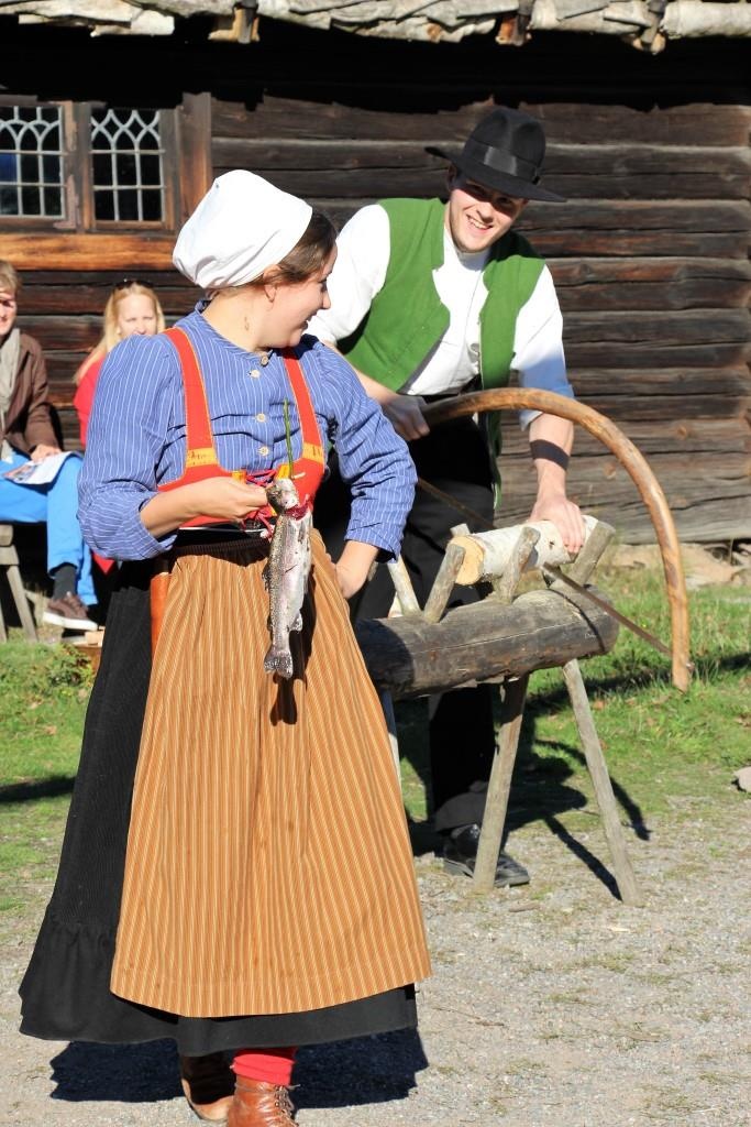 Стокгольм 2015. Часть вторая. Скансен.