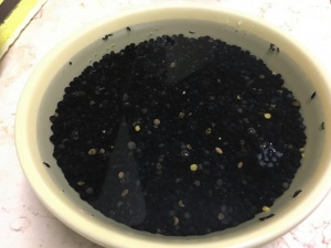 Салат из черной чечевицы и манго